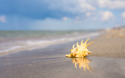 Similar image 21335840