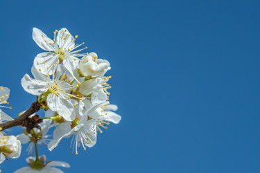 Similar image 21343055