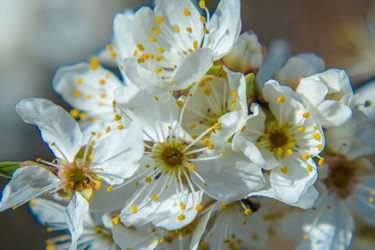 Similar image 21339692