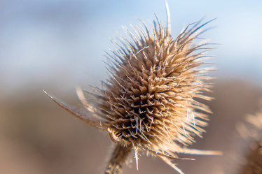 Similar image 21338155