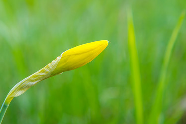 Similar image 21340887