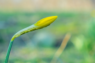 Similar image 21339218