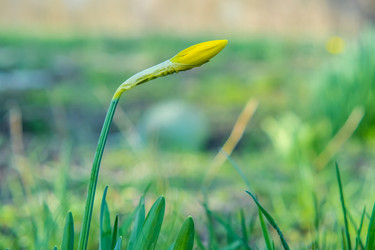 Similar image 21339695