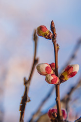 Similar image 21339219