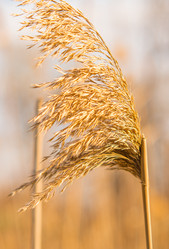 Similar image 21340917