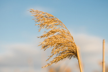 Similar image 21339696