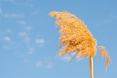 Similar image 21338162