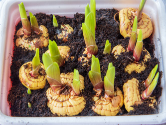 Similar image 21335843