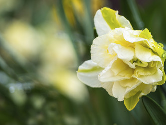 Similar image 21335845