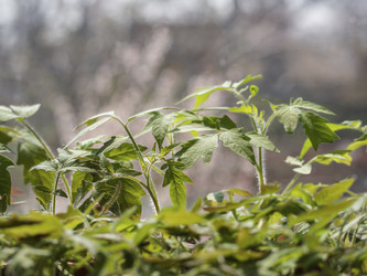 Similar image 21335846