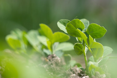 Similar image 21335847