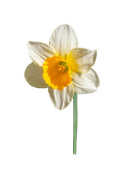 Similar image 21335848