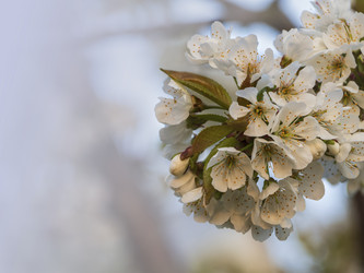 Similar image 21335854