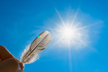 Similar image 21340110