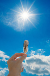 Similar image 21340111