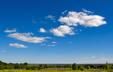 Similar image 21340115