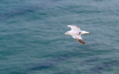 Similar image 21337230