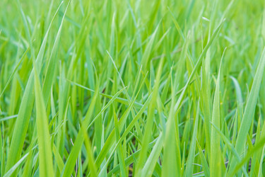 Similar image 21339223