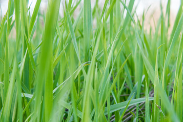 Similar image 21338165