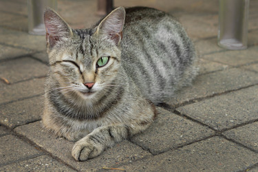 Similar image 21336343