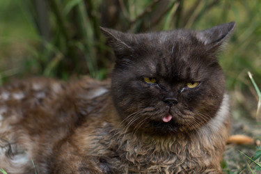 Similar image 21336350