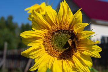 Similar image 21336359