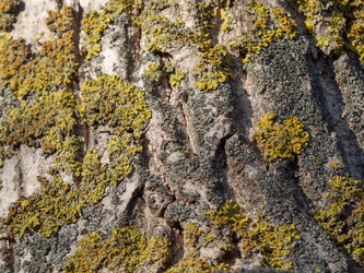 Similar image 21335865