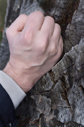 Similar image 21336365