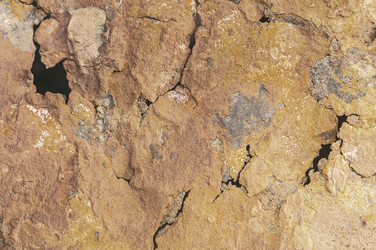 Similar image 21336366