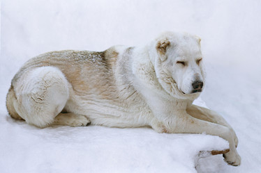 Similar image 21336373