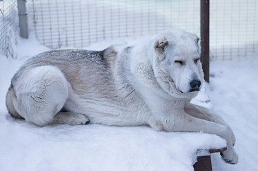 Similar image 21336374