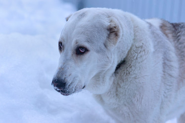 Similar image 21336375