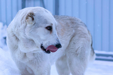 Similar image 21336376