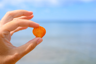 Similar image 21335878