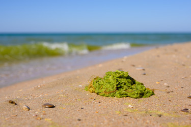 Similar image 21335880