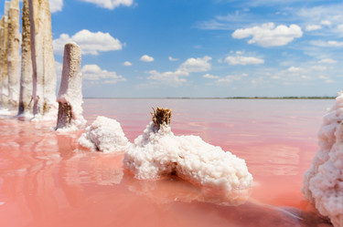 Similar image 21335888