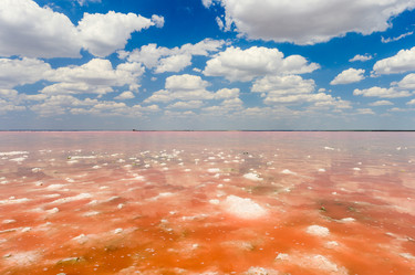 Similar image 21337234