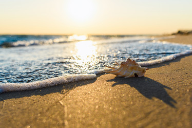 Similar image 21335893