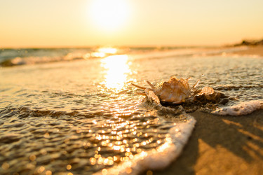 Similar image 21336829