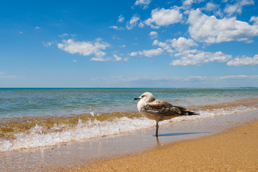 Similar image 21335915