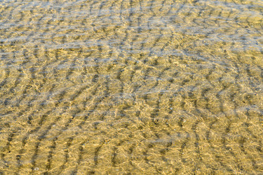 Similar image 21335904