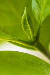 Similar image 21336424