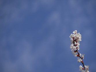 Similar image 21336427