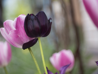 Similar image 21336429