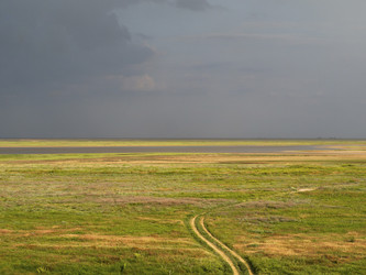 Similar image 21336434