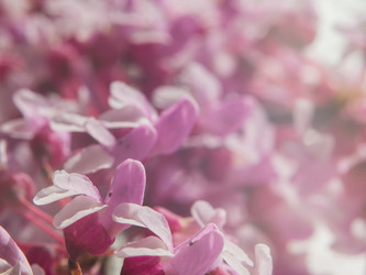 Similar image 21336833