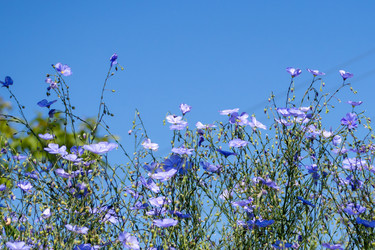 Similar image 21336845