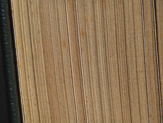 Similar image 21336846