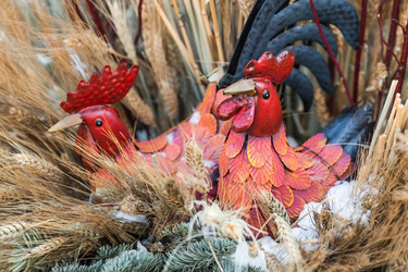 Similar image 21336996