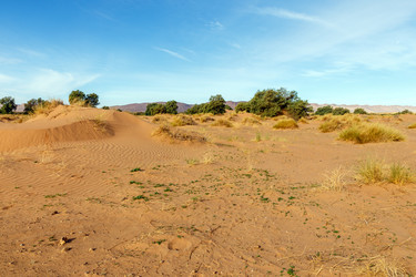 Similar image 21340127